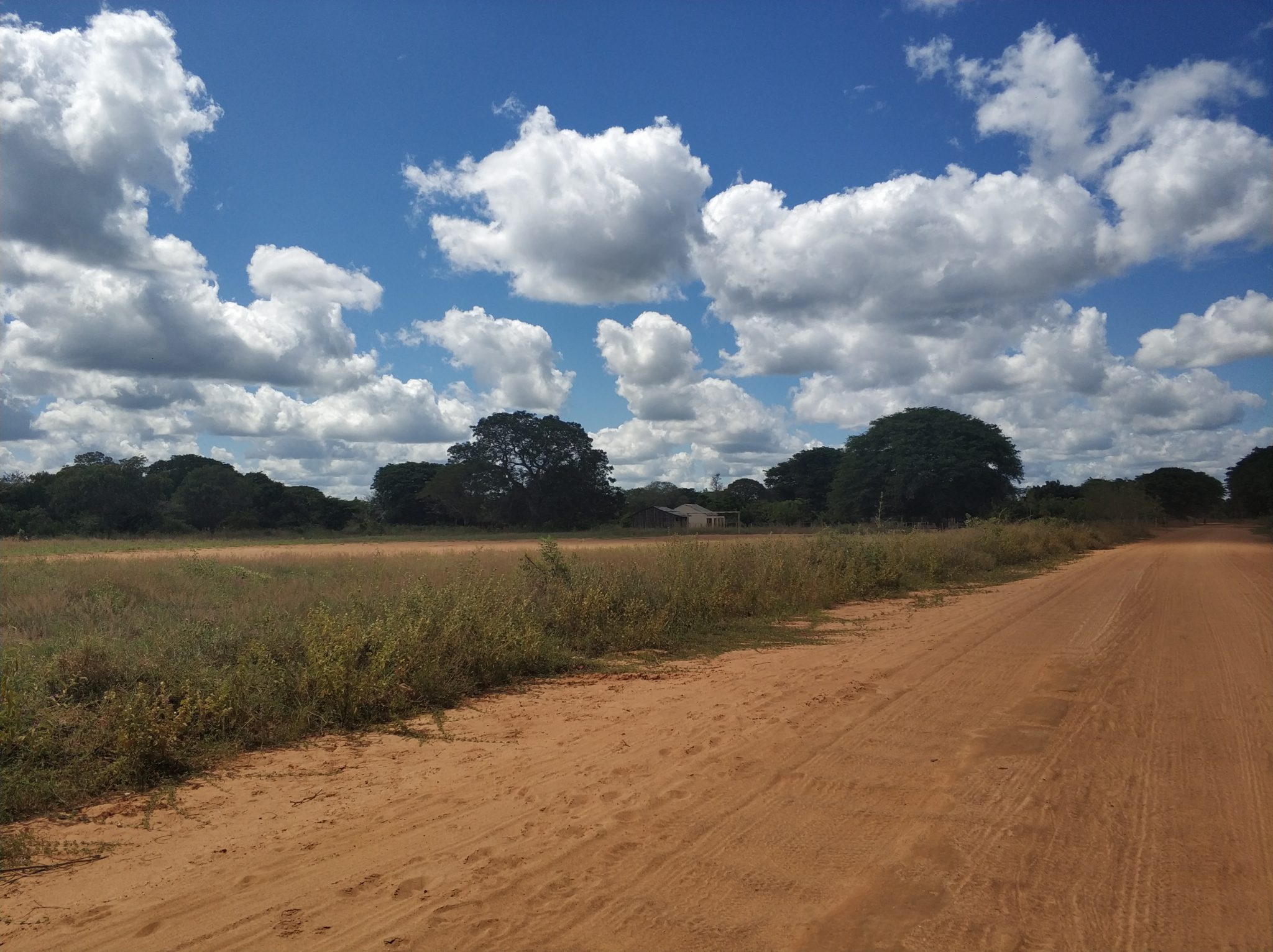 self drive safari mozambique